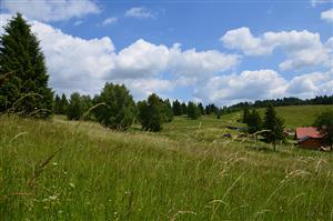 Lúka s domom a oplotením v pozadí